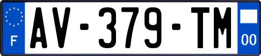 AV-379-TM
