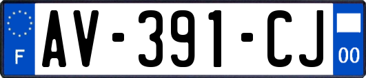 AV-391-CJ