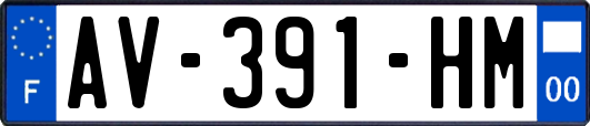AV-391-HM