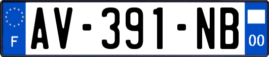 AV-391-NB