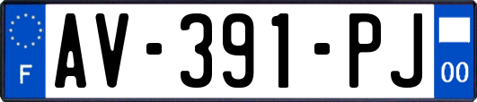 AV-391-PJ