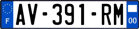 AV-391-RM