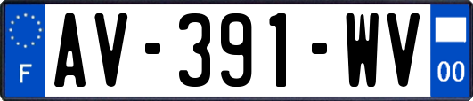 AV-391-WV