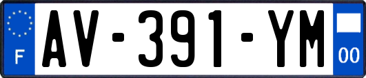 AV-391-YM