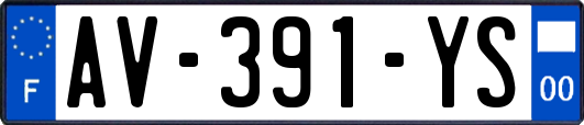 AV-391-YS