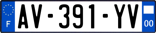 AV-391-YV