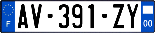 AV-391-ZY
