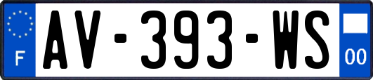 AV-393-WS