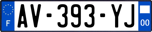 AV-393-YJ
