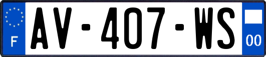 AV-407-WS