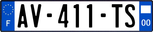 AV-411-TS