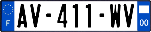 AV-411-WV