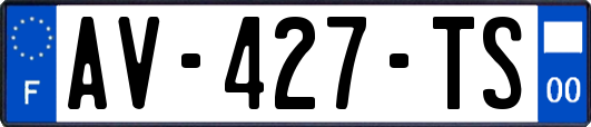 AV-427-TS