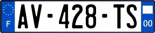 AV-428-TS