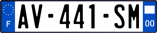 AV-441-SM