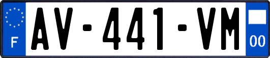 AV-441-VM