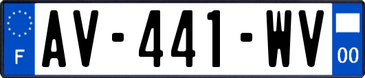AV-441-WV