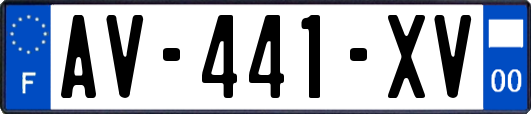 AV-441-XV