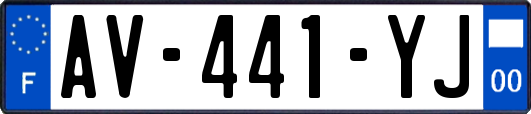 AV-441-YJ