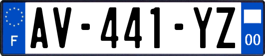 AV-441-YZ