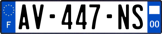 AV-447-NS
