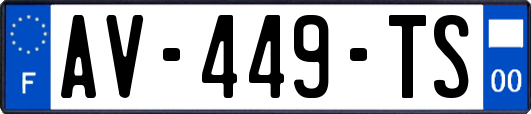 AV-449-TS