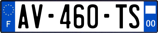 AV-460-TS