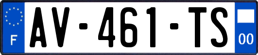 AV-461-TS