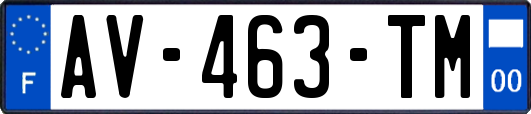 AV-463-TM