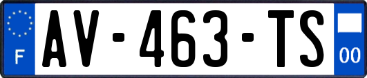 AV-463-TS
