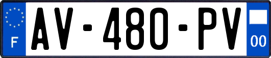 AV-480-PV