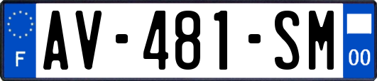 AV-481-SM