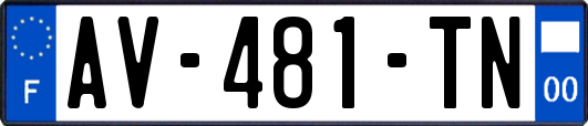 AV-481-TN