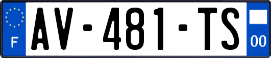 AV-481-TS