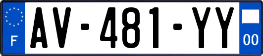 AV-481-YY