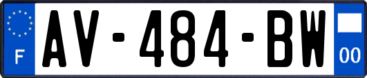 AV-484-BW