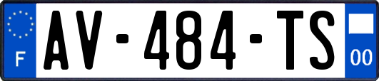 AV-484-TS
