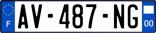 AV-487-NG
