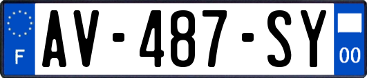AV-487-SY