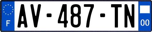 AV-487-TN