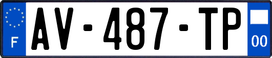 AV-487-TP