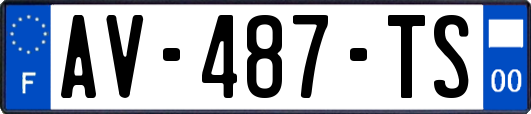 AV-487-TS