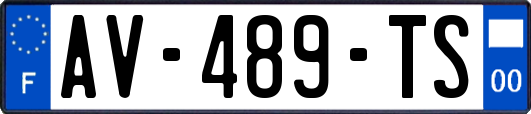 AV-489-TS