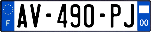 AV-490-PJ