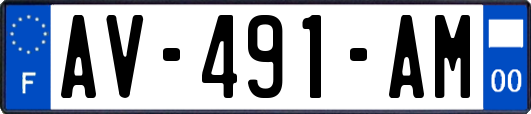 AV-491-AM