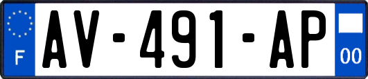AV-491-AP