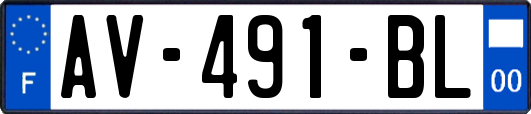 AV-491-BL