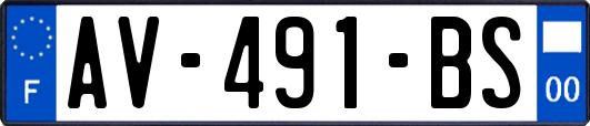 AV-491-BS