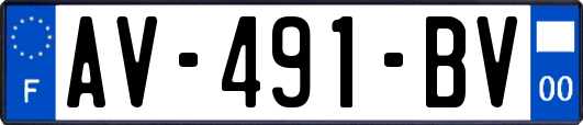 AV-491-BV