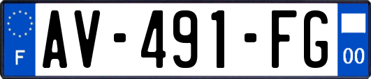 AV-491-FG